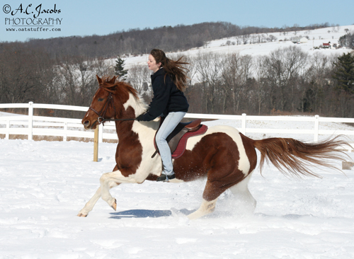 Amber and her horse, Tally